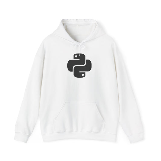 Python Programmer Hoodie, Unisex Heavy Blend Sweatshirt, Gift for Coders, Tech Apparel