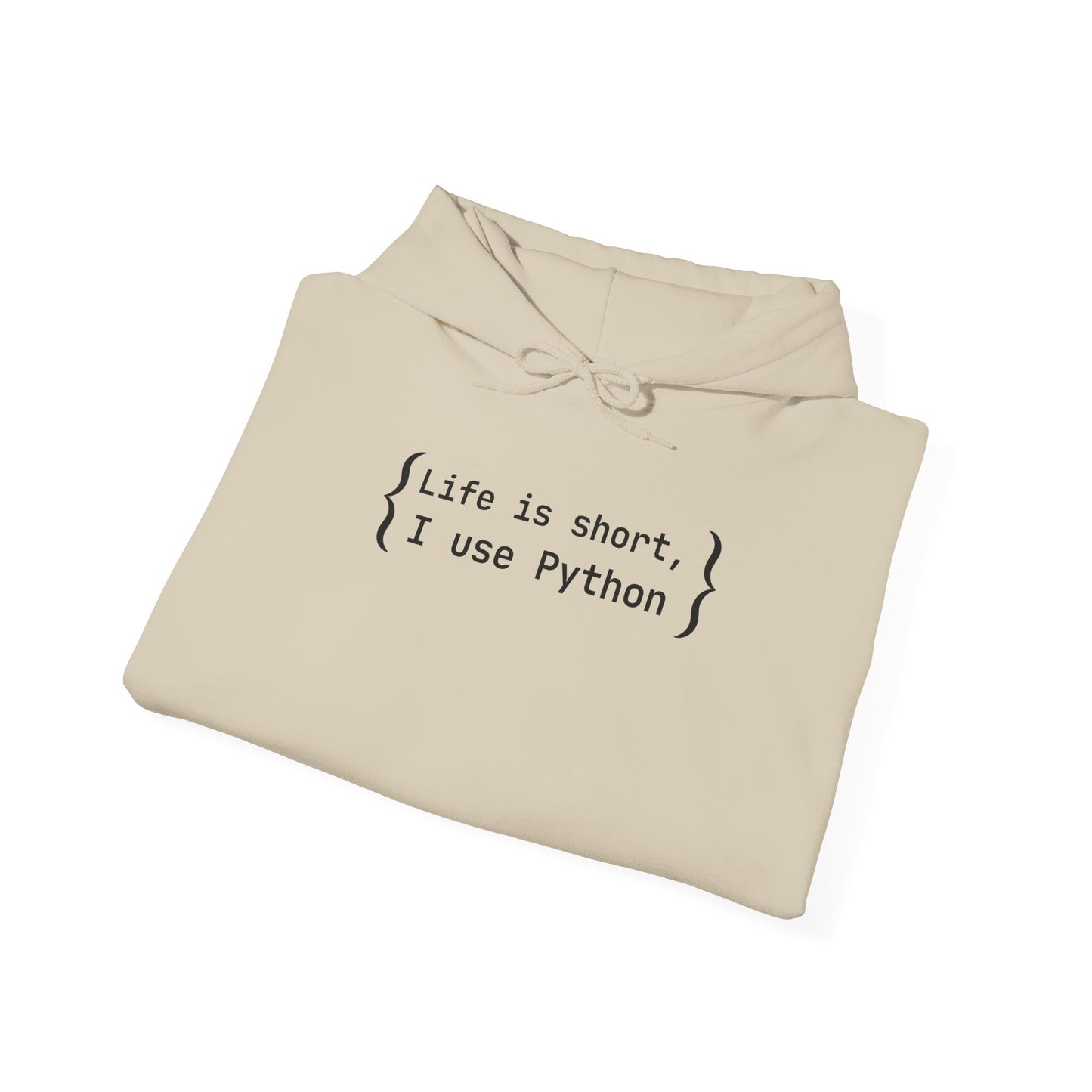 Python Programmer Hoodie - Unisex Heavy Blend Hoodie, Computer Science Wear