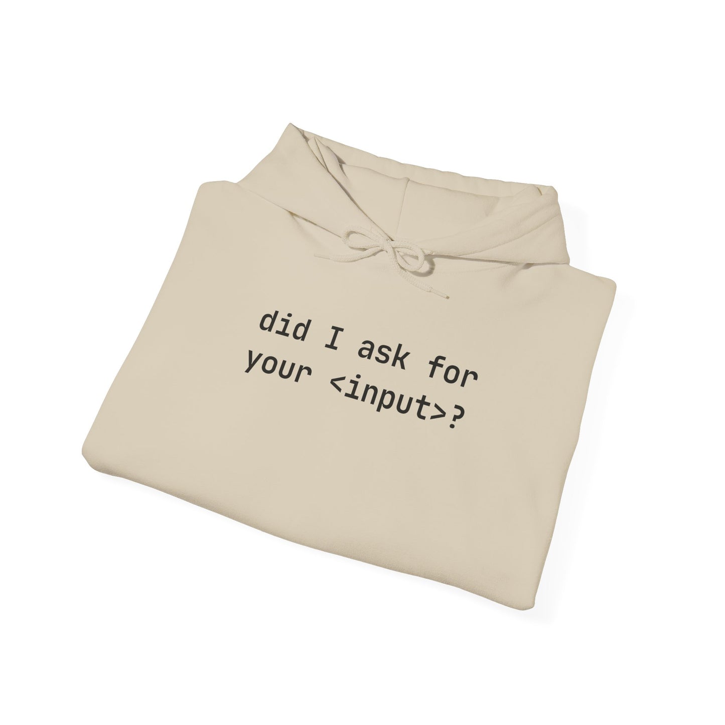 Funny Quote Unisex Hoodie - Did I Ask for Your Input? Unisex Sweatshirt for Coder