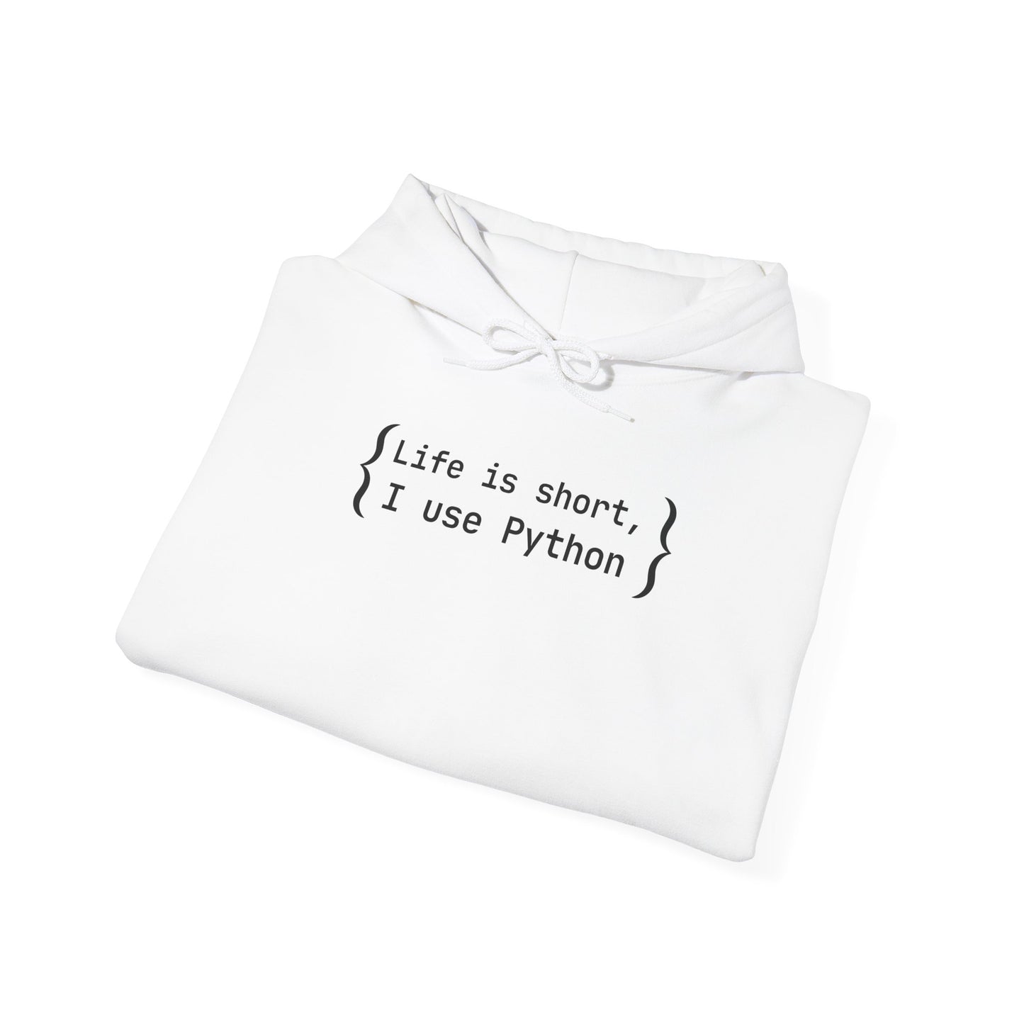 Python Programmer Hoodie - Unisex Heavy Blend Hoodie, Computer Science Wear