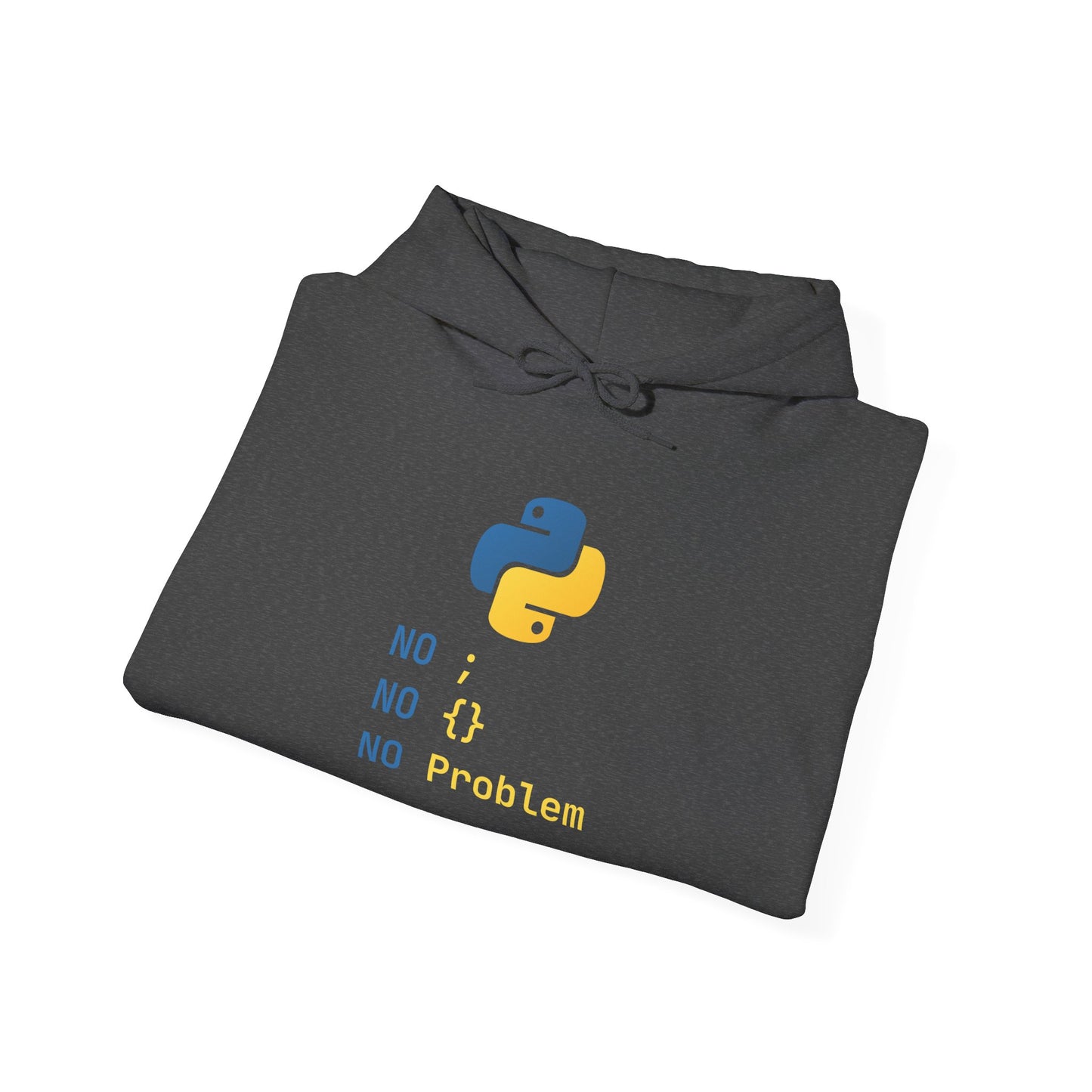 Python Programmer's Hoodie - No ; No () No Problem, Gift for Tech Lovers, Coder, CS Guy