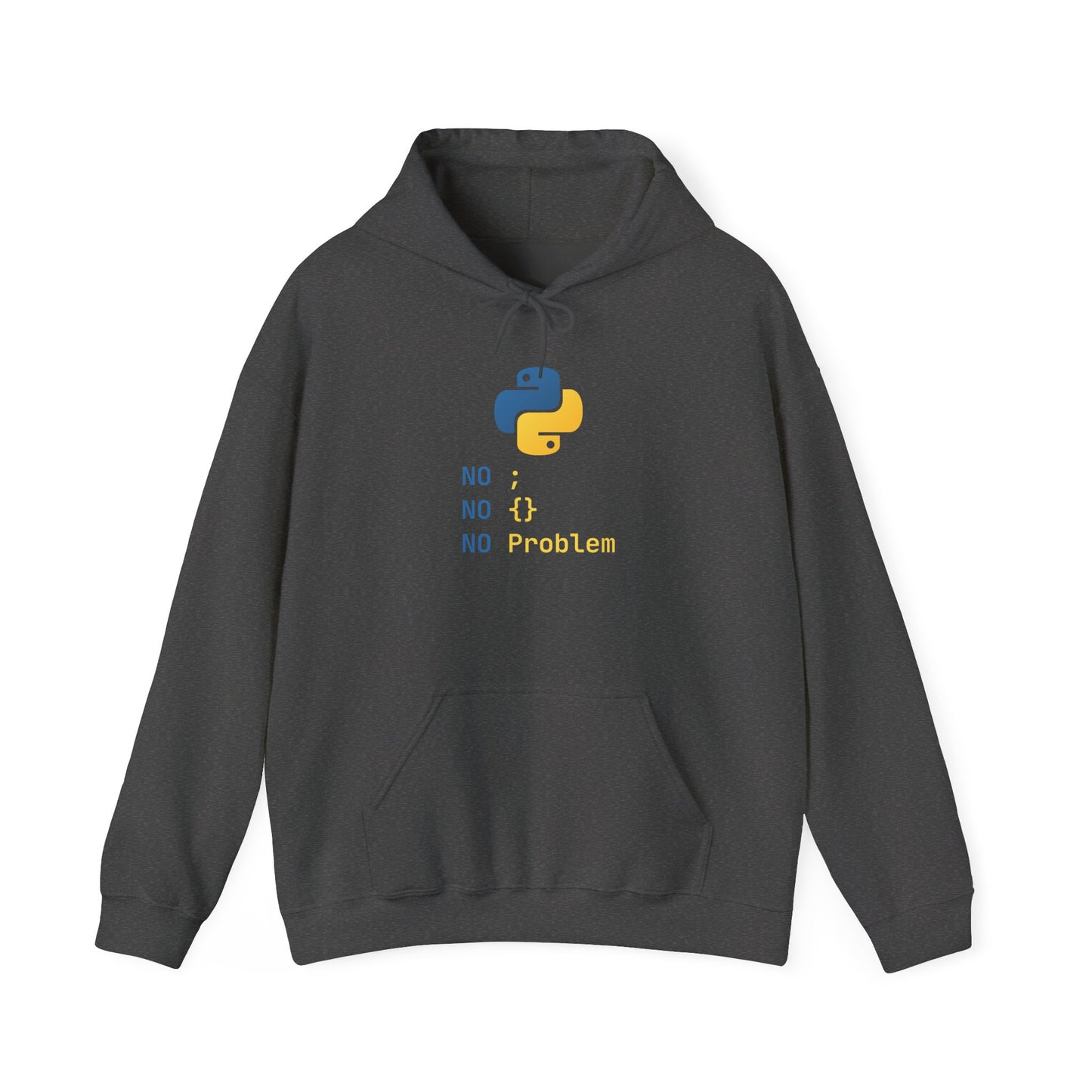 Python Programmer's Hoodie - No ; No () No Problem, Gift for Tech Lovers, Coder, CS Guy