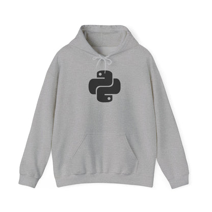 Python Programmer Hoodie, Unisex Heavy Blend Sweatshirt, Gift for Coders, Tech Apparel