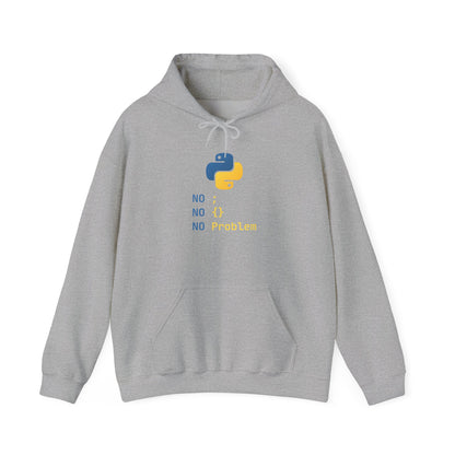 Python Programmer's Hoodie - No ; No () No Problem, Gift for Tech Lovers, Coder, CS Guy
