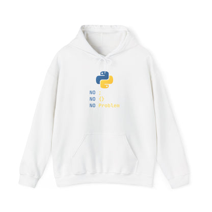 Python Programmer's Hoodie - No ; No () No Problem, Gift for Tech Lovers, Coder, CS Guy