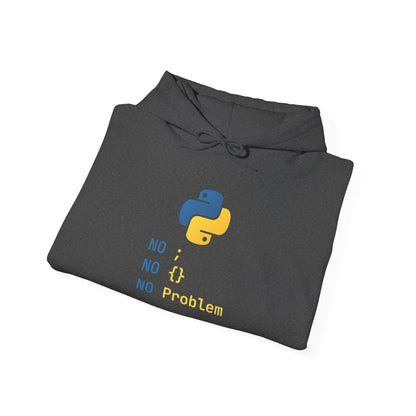 Python Programmer's Hoodie - No ; No () No Problem, Gift for Tech Lovers, Coder, CS Guy