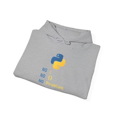 Python Programmer's Hoodie - No ; No () No Problem, Gift for Tech Lovers, Coder, CS Guy