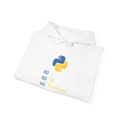Python Programmer's Hoodie - No ; No () No Problem, Gift for Tech Lovers, Coder, CS Guy