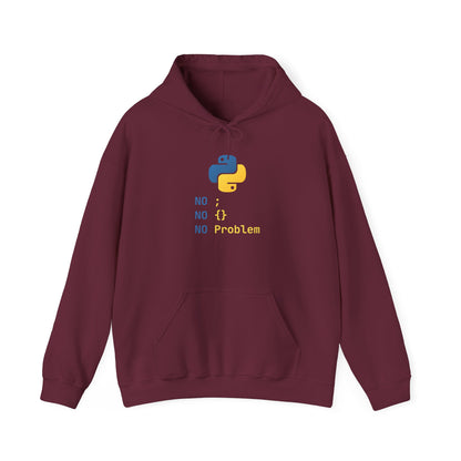 Python Programmer's Hoodie - No ; No () No Problem, Gift for Tech Lovers, Coder, CS Guy