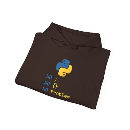 Python Programmer's Hoodie - No ; No () No Problem, Gift for Tech Lovers, Coder, CS Guy