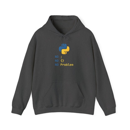 Python Programmer's Hoodie - No ; No () No Problem, Gift for Tech Lovers, Coder, CS Guy