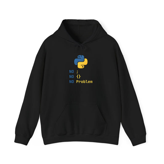 Python Programmer's Hoodie - No ; No () No Problem, Gift for Tech Lovers, Coder, CS Guy
